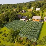 Vineyard Stepan * Črnomelj