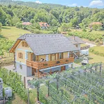 Prázdninový dům Vineyard Stepan