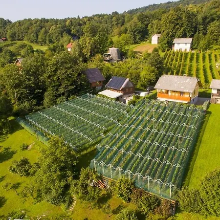 Vineyard Stepan * Črnomelj