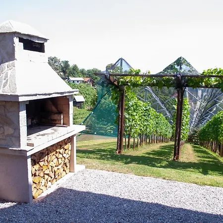 Vineyard Stepan Vikendica *