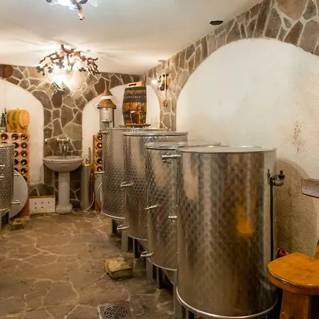 Vineyard Stepan Holiday home