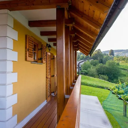 Vineyard Stepan Crnomelj