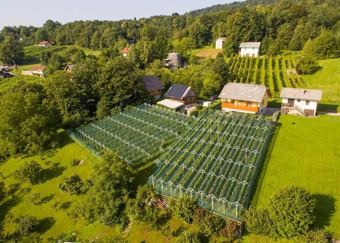 Vineyard Stepan * Črnomelj