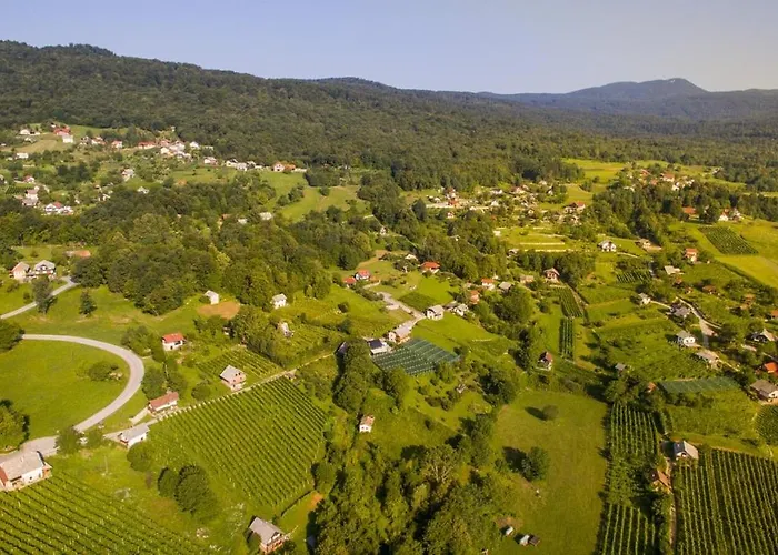 Сasa de vacaciones Vineyard Stepan Črnomelj