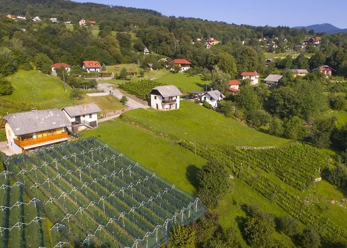 Casa de Férias Vineyard Stepan Črnomelj