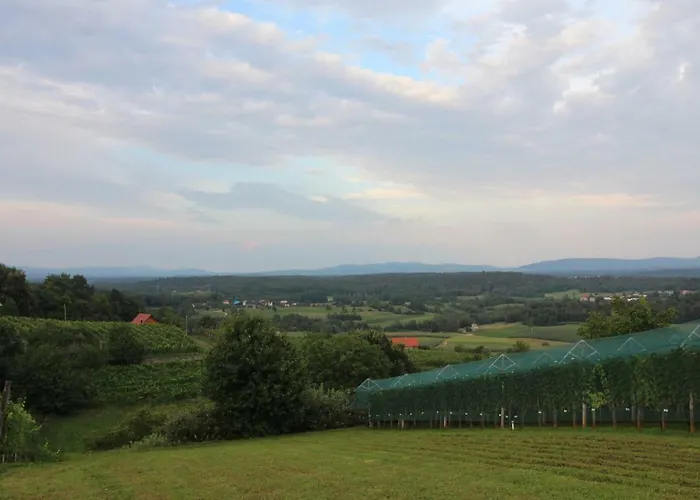 Vineyard Stepan Casa de Férias Črnomelj