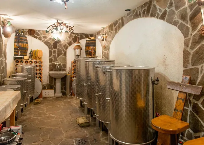 Vineyard Stepan Casa de Férias