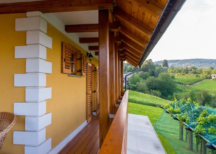 Vineyard Stepan Crnomelj